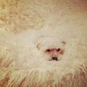 Photo de Bailey Roedig