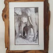 Foto von Dorian Hatchuel
