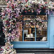 Sole Zanuzzis billede