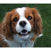 Sharon Reems's photo