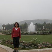 Diane Bouchard's photo