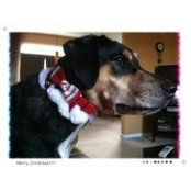 Kenlyn Anderson's photo
