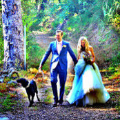 Malibu Weddings's photo