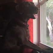 Andy Behrend's photo