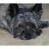 Michael Farris's photo
