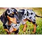 Mary Rosenberger's photo