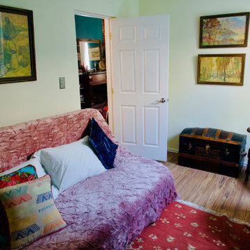 Emergency Mold Mitigation Rainbow House Repaint