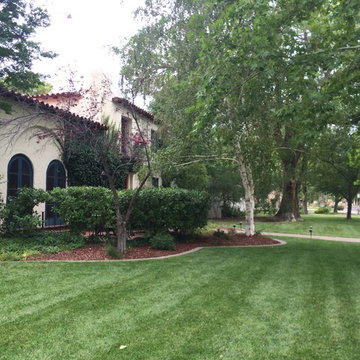 Front Yard Landscape And Lighting