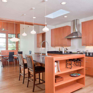 Lakeside Modern