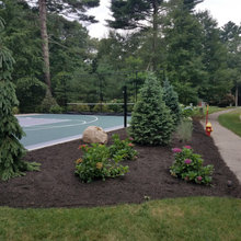 Pball Court