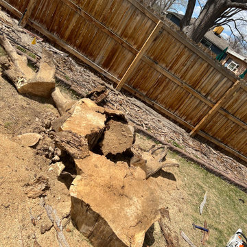 Emergency Tree Removal
