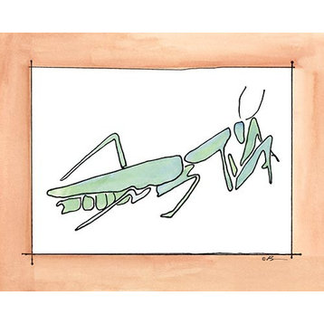 Praying Mantis, Ready To Hang Canvas Kid's Wall Decor, 16 X 20