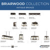 Briarwood Collection 3-Light Bath and Vanity, Antique Bronze