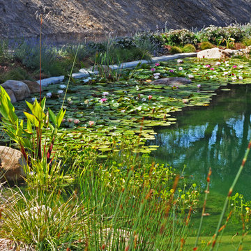 Ranch Reservoir & Nectar Garden w/ BioHaven Floating Island