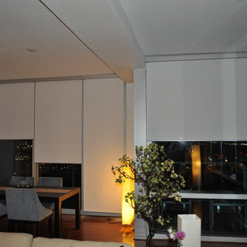 Roller Shades at "The VUE" Lake Eola in Orlando City