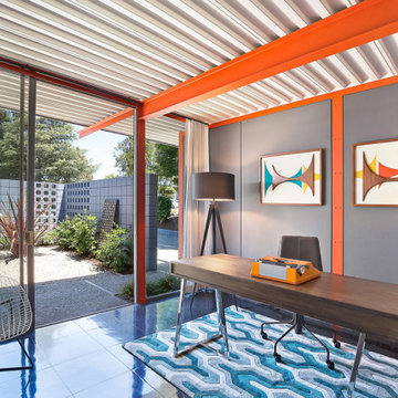 Eichler X-100 For Sale