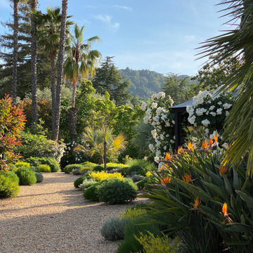 Mediterranean garden in Los Alto Hills