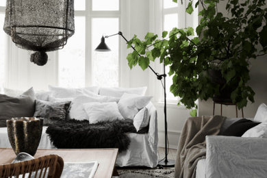 Danish living room photo in Other with white walls