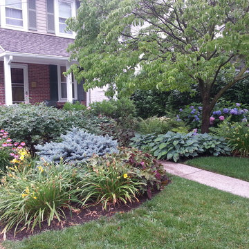 Cottage Front Yard