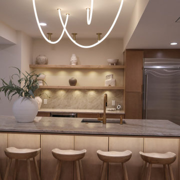 Taj Mahal Basement Kitchen Project