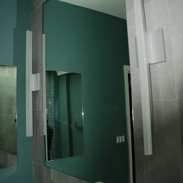 Old Town Alexandria Contemporary Master Bath