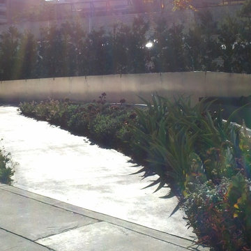 Cedar-Levine Memorial Park