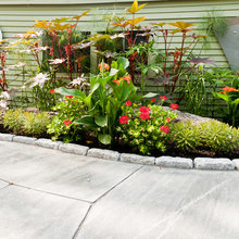 garden/backyard