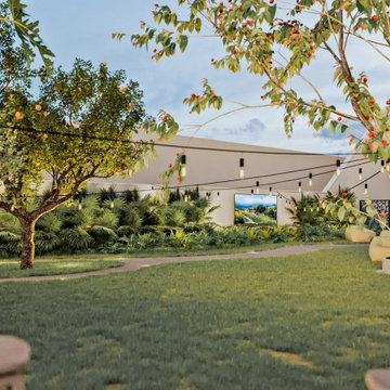 Dog Backyard