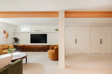 Basement photo in Denver