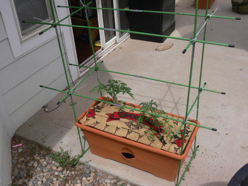 Grow Box from The Garden Patch