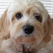 SANDI Kelly's photo