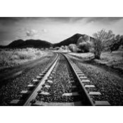 Mohammed Suwaid's photo