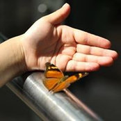 Sidney Tsang's photo