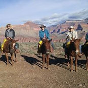 Tommy Kelner's photo