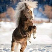 Myra Atkins's photo