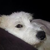 Ruben Arrieta's photo