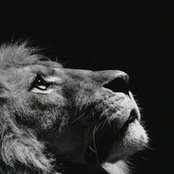 Mahamed Alinour's photo