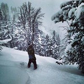 Gavin Koenig's photo