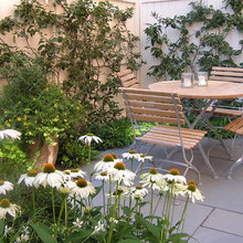 small atrium