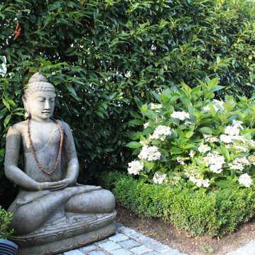 Weiße Hortensien vor dunkelgrünem Kirschlorbeer setzen Buddha in Szene