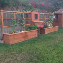 Chicken Coop