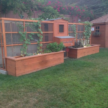 Symmetrical Garden Chicken Coop