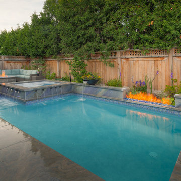 Urban Oasis