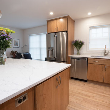 Modern Wood Kitchen Remodel | Open-Concept Layout & Large Quartz Island