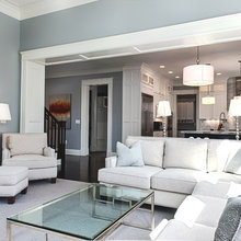 Living Room Ideas