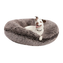 pet bed