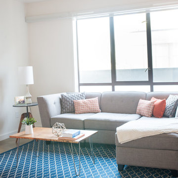 Modern Mid Century Living room