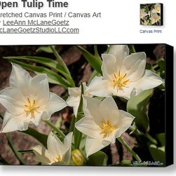 canvas - Prints And Posters