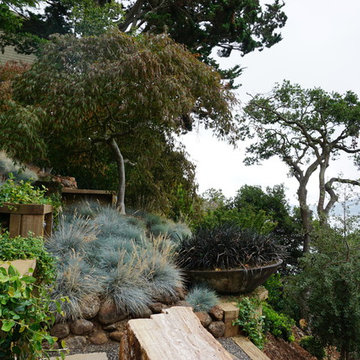Belvedere Garden