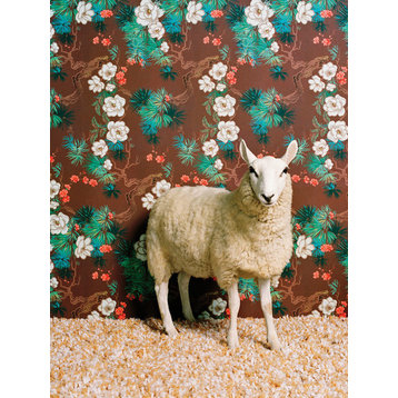 "Sheep on Floral Pattern" Canvas Wall Art by Catherine Ledner, 10"x14"
